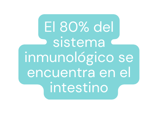 El 80 del sistema inmunológico se encuentra en el intestino